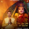 About Teri Jyot Jale Song